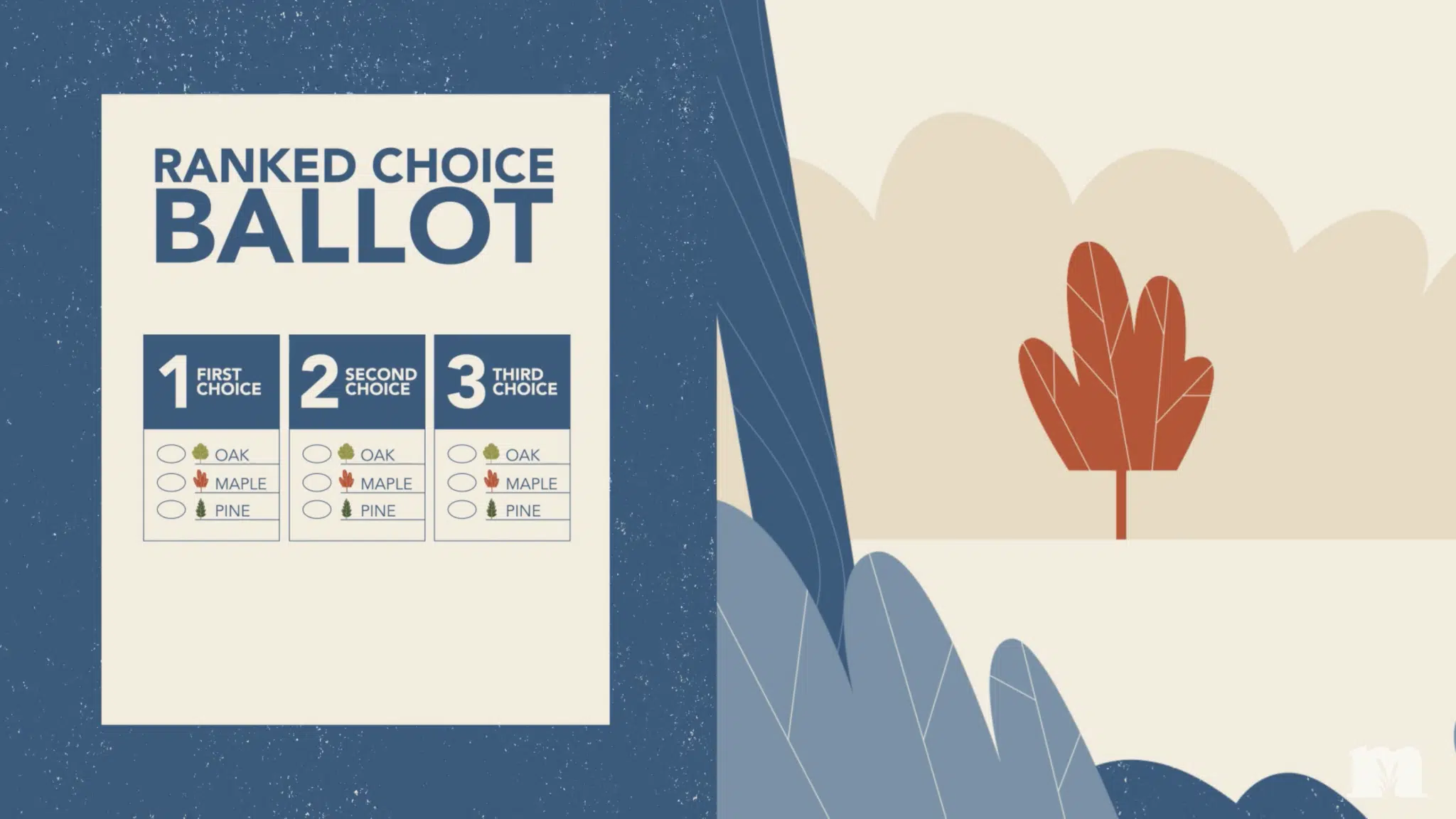 video thumbnail: Minnetonka ranked choice voting ballot example
